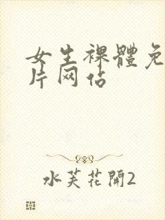 女生裸体免费看片网站封面