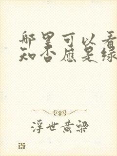 哪里可以看知否知否应是绿肥红瘦封面