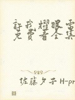 许我耀眼电视剧免费看全集封面