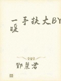 一手扶大BY泱暖封面