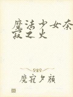 魔法少女奈叶静寂之火封面