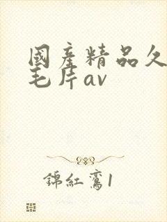 国产精品久久久毛片av