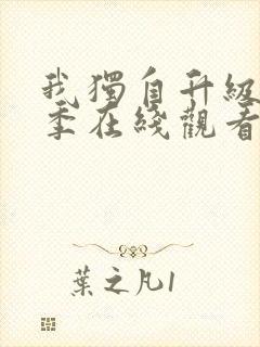 我独自升级第1季在线观看封面