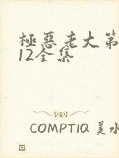 极恶老大第二季12全集