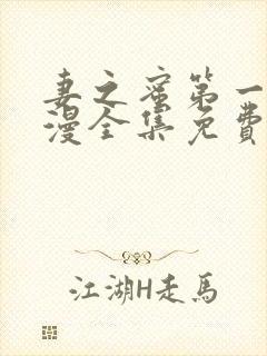 妻之蜜第一季动漫全集免费观看封面