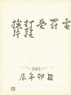 挨打受罚电视剧片段封面