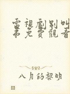 电视剧别叫我兄弟免费观看全集