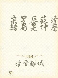 宋星辰苏清澈大结局是什么封面