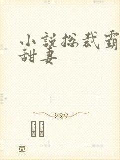 小说总裁霸宠小甜妻