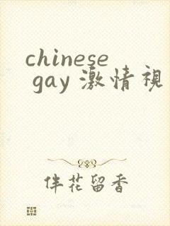 chinese gay 激情视频