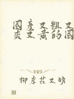 国产又粗又猛又爽又黄的国