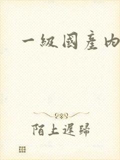 一级国产内射片