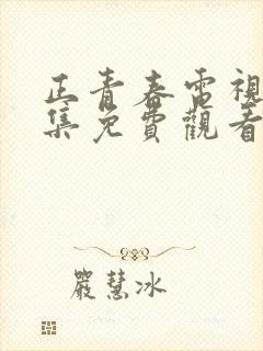 正青春电视剧全集免费观看完整版封面