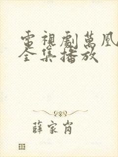 电视剧万凰之王全集播放