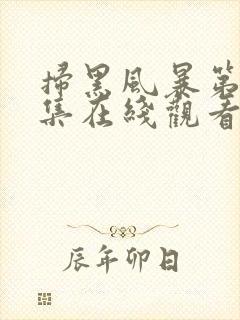 扫黑风暴第23集在线观看免费完整版封面