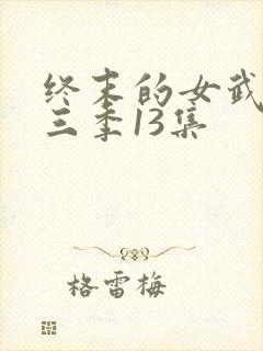 终末的女武神第三季13集