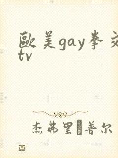 欧美gay拳交tv封面