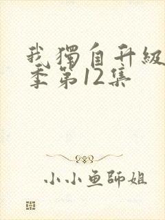 我独自升级第二季第12集