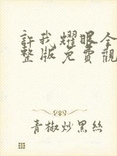 许我耀眼全集完整版免费观看