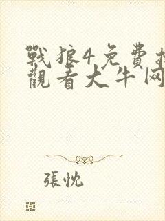 战狼4免费播放观看大牛网