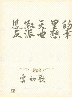 凤傲天里的黄毛反派也想幸福txt