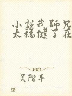 小说我师兄实在太稳健了在哪听