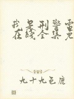 我是刑警电视剧在线全集免费观看