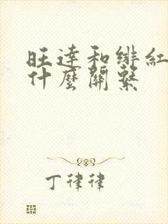 旺达和绯红女巫什么关系