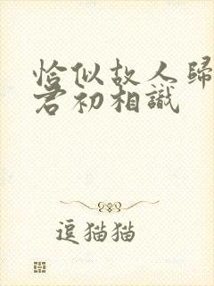 恰似故人归 与君初相识