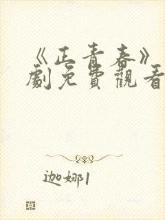 《正青春》电视剧免费观看全集完整封面