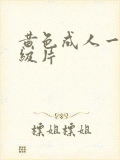 黄色成人一级二级片封面