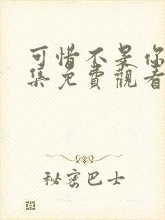 可惜不是你24集免费观看