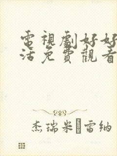 电视剧好好的生活免费观看全集