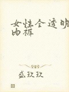 女性全透明三角内裤