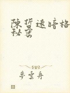 陈哲远暗格里的秘密