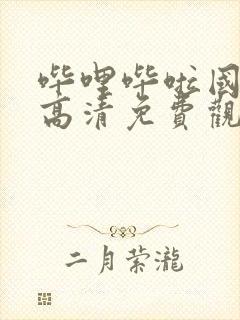 哔哩哔啦国语版高清免费观看