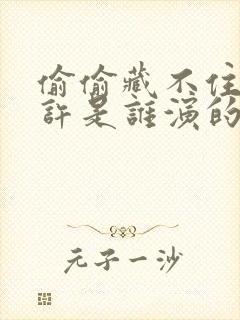 偷偷藏不住段嘉许是谁演的