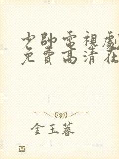 少帅电视剧全集免费高清在线观看封面