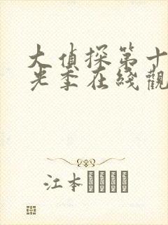 大侦探第十季拾光季在线观看免费版高清