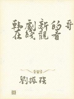 韩剧新的哥哥2在线观看