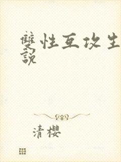 双性互攻生子小说封面