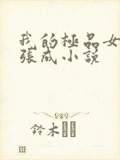 我的极品女老师张成小说