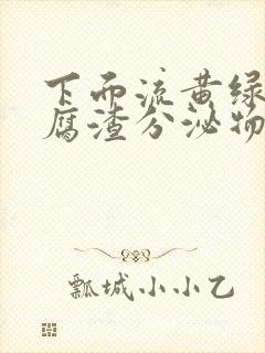 下面流黄绿色豆腐渣分泌物