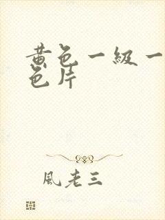 黄色一级一级黄色片