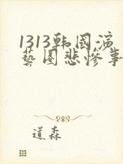 1313韩国演艺圈悲惨事件