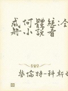 成何体统:全2册小说看封面