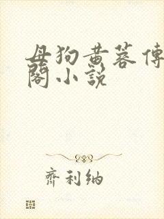母狗黄蓉传笔趣阁小说