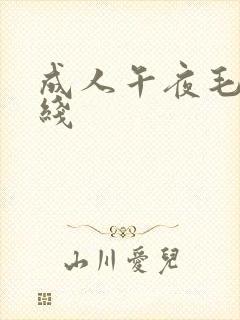 成人午夜毛片在线