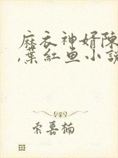 麻衣神婿陈黄皮,叶红鱼小说