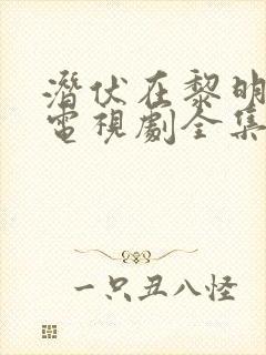 潜伏在黎明之前电视剧全集免费观看